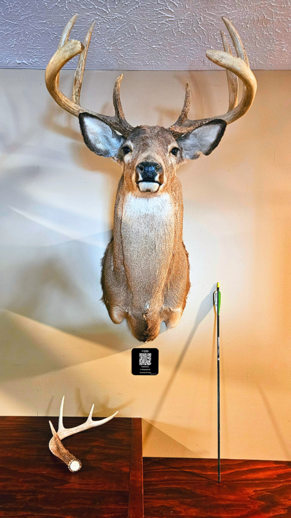 Traditional Plaque Life Image (2) Traditional Plaque Life Image (2)